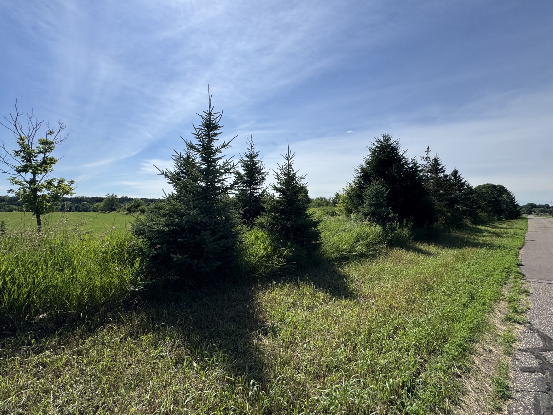 Mogren Farms Parcel B 15.19 Acres